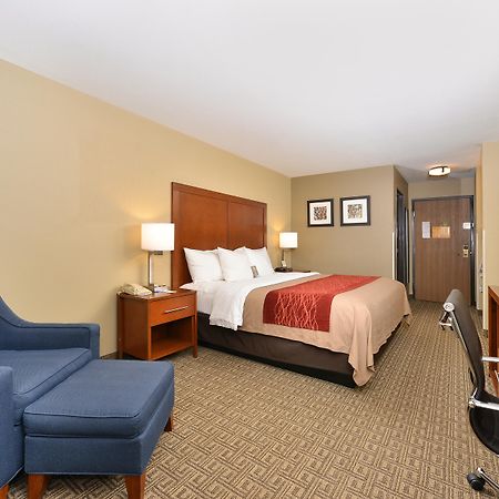 Comfort Inn Near Gila National Forest Silver City Esterno foto